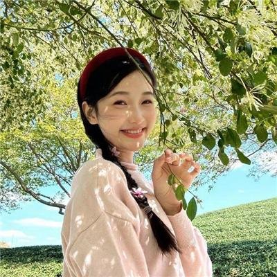 庇护棕榈树下